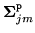 $ {{\mbox{\boldmath $\Sigma$}}}^{\tt p}_{jm}$