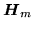 $ {\mbox{\boldmath $H$}}_m$